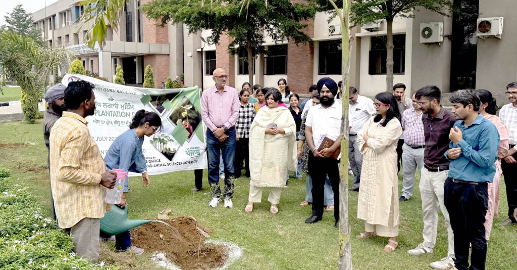 College of Dairy and Food Science Technology Organizes Tree Plantation Drive
